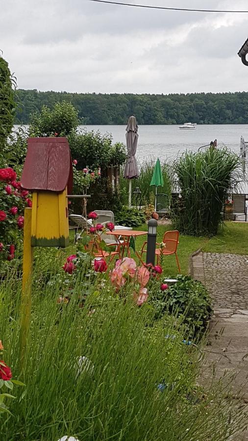 Zeuthen Ferienwohnung Am See, Stadtgrenze Berlin エクステリア 写真